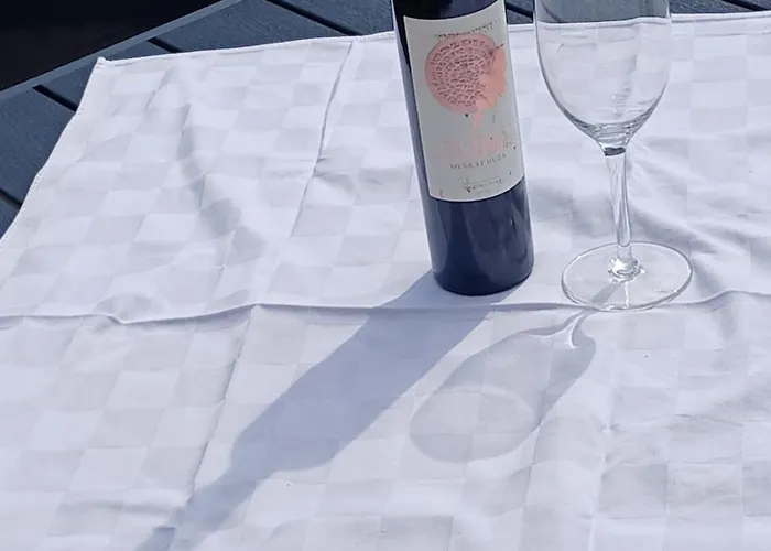 App Mladenka Διαμέρισμα Novigrad Istria