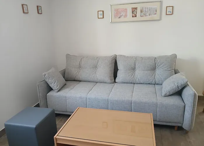 App Mladenka Novigrad Istria